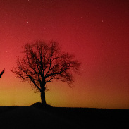 <font class="tempImageTitleThumbText">Auroras</font><br>Thomas Schmaus<br>Jan 20 1:41pm<br>Germany, Bavaria, Aichach-Oberb