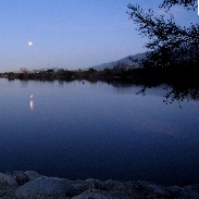 <font class="tempImageTitleThumbText">Lunar Eclipse  </font><br>Tokuo Nakamoto<br>Feb 2 8:42am<br>Santa Fe Dam, Irwindale,  CA