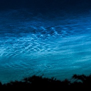 <font class="tempImageTitleThumbText">NLC</font><br>Tom Blockley<br>Jun 22 9:21pm<br>Shropshire, United Kingdom