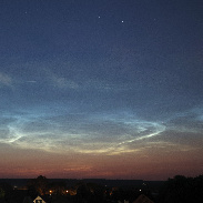 <font class="tempImageTitleThumbText">Huge NLC Outbreak</font><br>Ujvárosi Beáta <br>Jul 13 4:43am<br>Vácrátót, Hungary