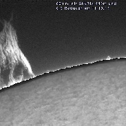 <font class="tempImageTitleThumbText">Prominences</font><br>Ursula Seth<br>Oct 12 9:32am<br>Nice Prominence