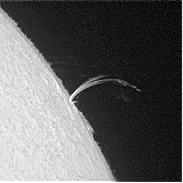 <font class="tempImageTitleThumbText">Prominence</font><br>Ursula Seth<br>Jun 1 2:35pm<br>Garbsen, Germany