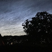 <font class="tempImageTitleThumbText">NLCs</font><br>Waldemar Boot<br>Jun 22 5:31am<br>Drongelen