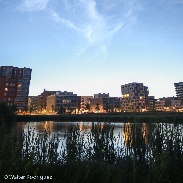 <font class="tempImageTitleThumbText">Noctilucent Clouds</font><br>Walter Rodriguez<br>Jul 10 12:09pm<br>Helsinki, Finland