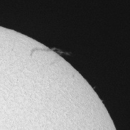<font class="tempImageTitleThumbText">Filaprom On NW Limb Of The Sun</font><br>Warren Spreng<br>Mar 7 2:30pm<br>Mason, Ohio