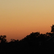 <font class="tempImageTitleThumbText">Comet C/2023A3  Tsuchinshan-Atlas</font><br>william collins<br>Oct 11 12:11am<br>New Orleans,Louisiana  , USA